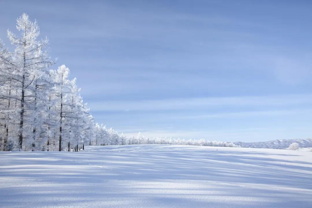 今日大雪！品读雪中意境！